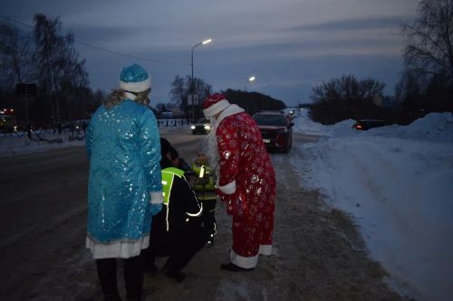 В Верхнем Услоне на дорогу вышел новогодний патруль