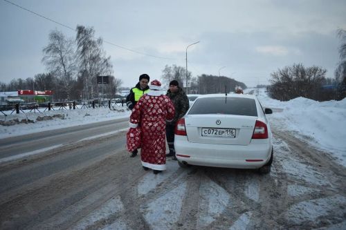 В Верхнем Услоне на дорогу вышел новогодний патруль