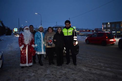 В Верхнем Услоне на дорогу вышел новогодний патруль