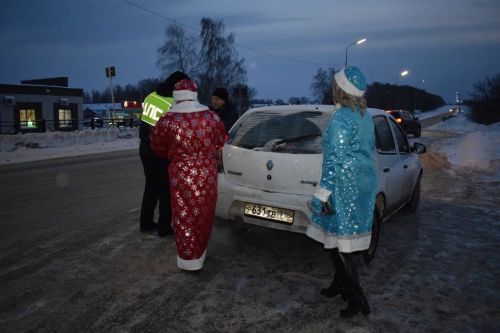 В Верхнем Услоне на дорогу вышел новогодний патруль