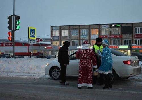 В Верхнем Услоне на дорогу вышел новогодний патруль
