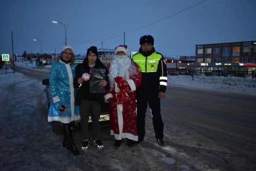 В Верхнем Услоне на дорогу вышел новогодний патруль