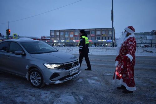 В Верхнем Услоне на дорогу вышел новогодний патруль