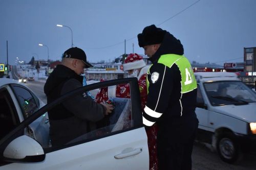 В Верхнем Услоне на дорогу вышел новогодний патруль