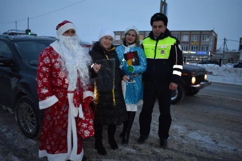 В Верхнем Услоне на дорогу вышел новогодний патруль