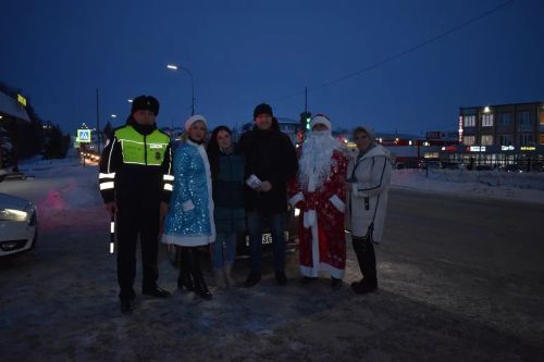 В Верхнем Услоне на дорогу вышел новогодний патруль
