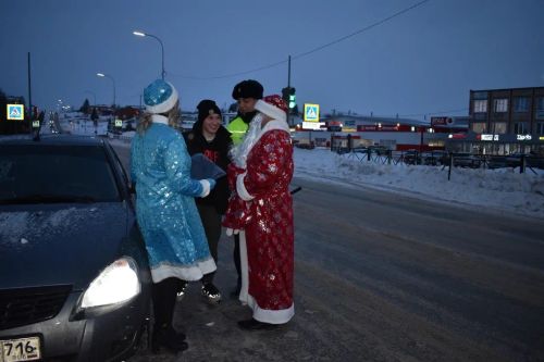 В Верхнем Услоне на дорогу вышел новогодний патруль