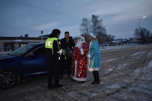 В Верхнем Услоне на дорогу вышел новогодний патруль