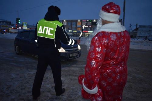 В Верхнем Услоне на дорогу вышел новогодний патруль