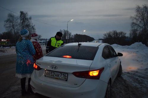 В Верхнем Услоне на дорогу вышел новогодний патруль