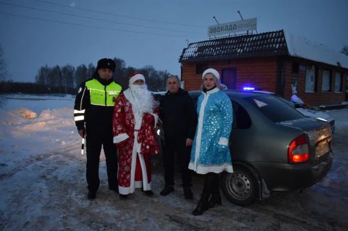 В Верхнем Услоне на дорогу вышел новогодний патруль