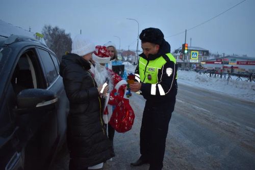В Верхнем Услоне на дорогу вышел новогодний патруль