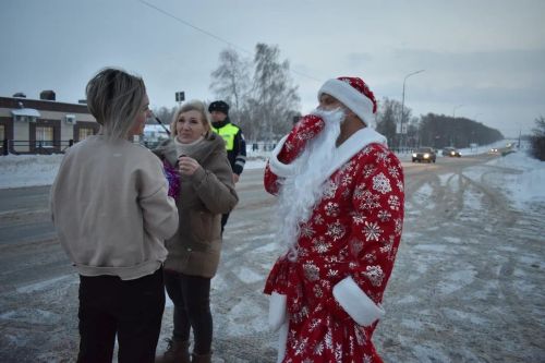 В Верхнем Услоне на дорогу вышел новогодний патруль