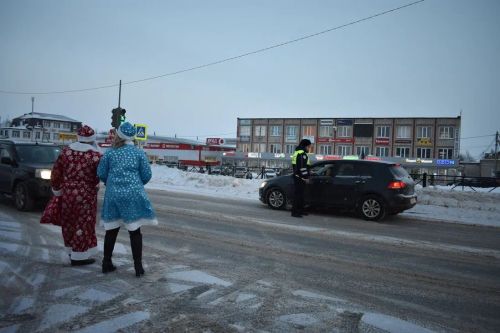 В Верхнем Услоне на дорогу вышел новогодний патруль