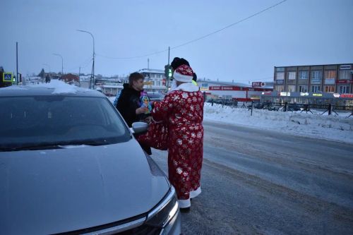 В Верхнем Услоне на дорогу вышел новогодний патруль