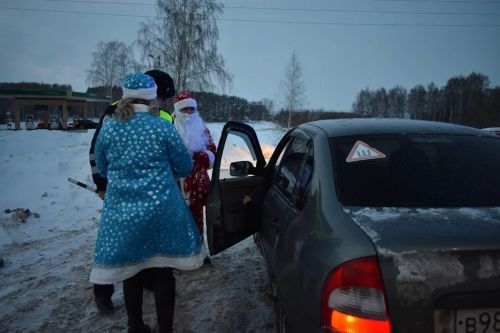 В Верхнем Услоне на дорогу вышел новогодний патруль