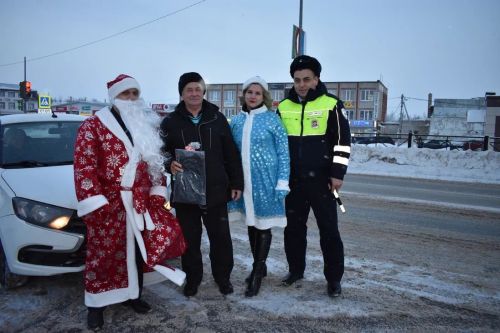 В Верхнем Услоне на дорогу вышел новогодний патруль