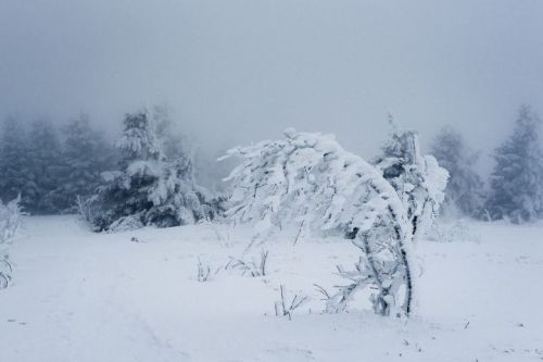 Прогноз погоды на неделю с 6 по 12 февраля 2023 года
