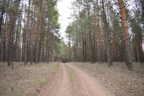 Народные приметы на 25 апреля 2023 года