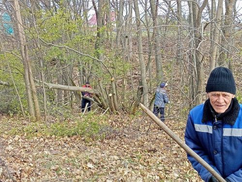Жители деревни им. М. Вахитова организовано провели уборку местного кладбища