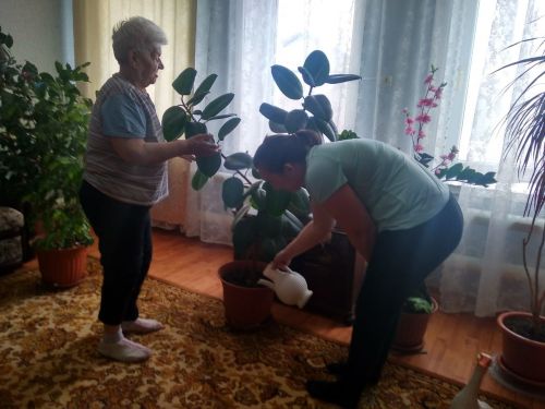 Подопечные соцработников увлеклись гарденотерапией