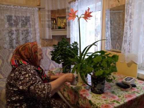 Подопечные соцработников увлеклись гарденотерапией