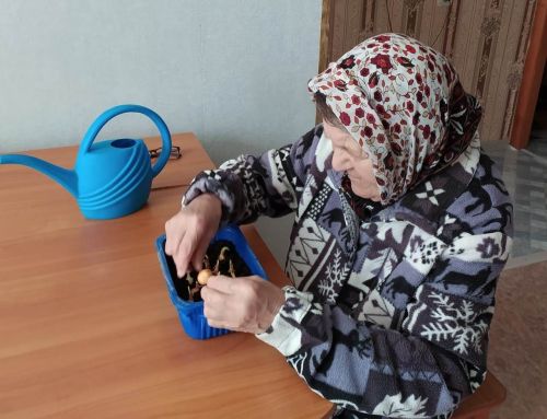 Подопечные соцработников увлеклись гарденотерапией