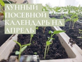 Лунный посевной календарь на апрель 2023 года садовода и огородника