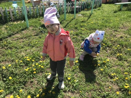 “Салават күпере” балалар бакчасының нәни сабыйлары беренче язгы чәчәк- тузганак белән таныштылар