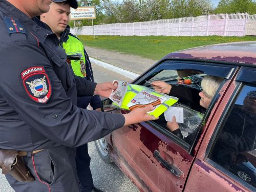 Автоинспекторы в Татарстане поздравили водителей с наступающим Днем Победы