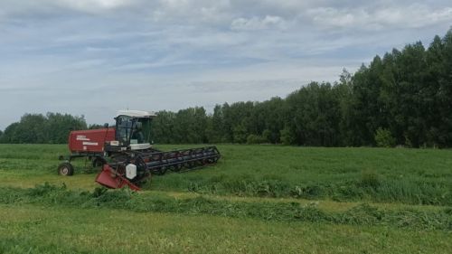 В Верхнеуслонском районе приступили к заготовке кормов