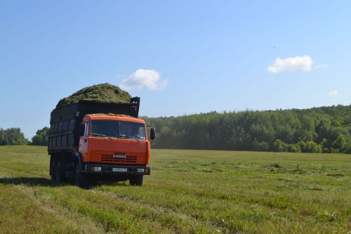 В Верхнеуслонском районе полным ходом идет заготовка кормов