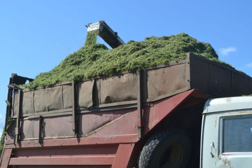В Верхнеуслонском районе полным ходом идет заготовка кормов