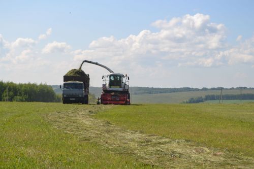В Верхнеуслонском районе полным ходом идет заготовка кормов