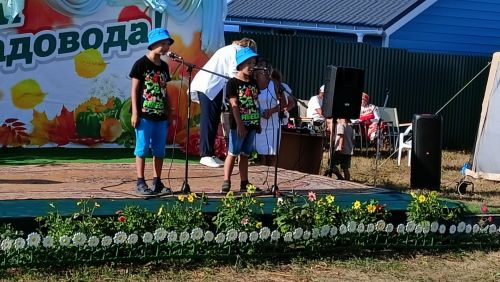 Кильдеевские культработники выступили на Дне садовода