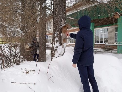 Кышын кошларны ашатырга онытмагыз