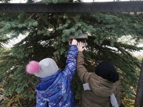 Песнәк зур кош түгел, ә шулай да үзенең бәйрәмен белә