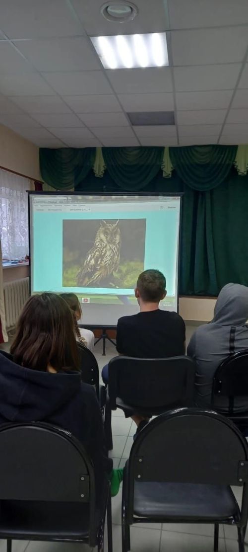 Вахитлылар экологик акциягә кушылдылар
