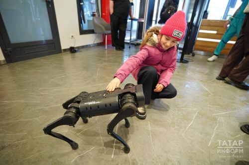 В Иннополисе на избирательном участке голосующих встречает робособака