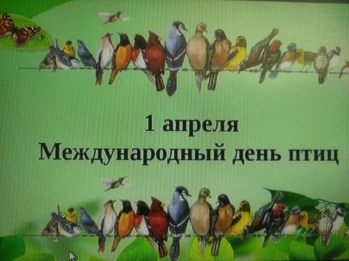 Экологик сәгать «Кошлар турында нәрсә беләсез?»