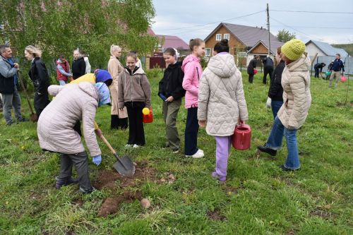 Милли проект буенча Югары Осланда алма бакчасы утырттылар