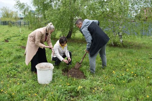 Милли проект буенча Югары Осланда алма бакчасы утырттылар