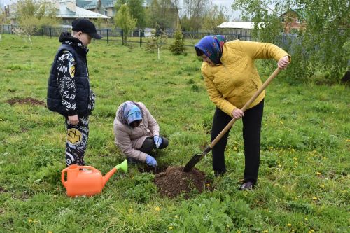 Милли проект буенча Югары Осланда алма бакчасы утырттылар