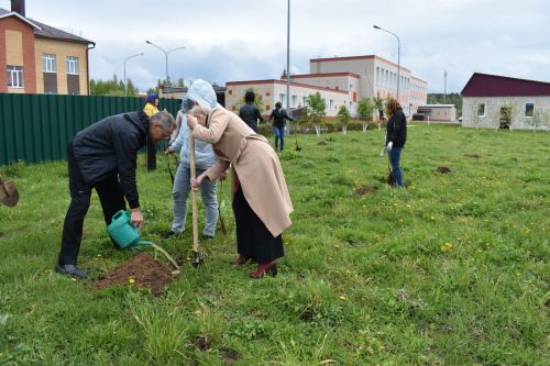 Милли проект буенча Югары Осланда алма бакчасы утырттылар