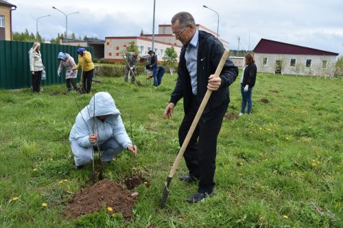 Милли проект буенча Югары Осланда алма бакчасы утырттылар