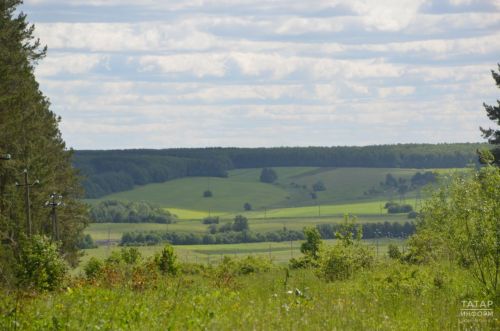 В Татарстане объявили штормовое предупреждение из-за высокой пожарной опасности лесов