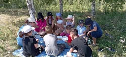В Матюшине прошел литературный пикник