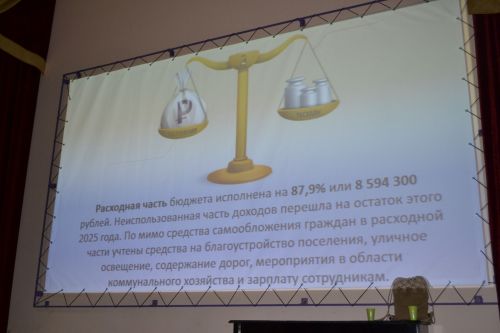 Участие в сходе граждан в Вв.Слободе принял Роман Шайхутдинов