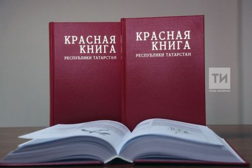 В Татарстане переиздадут Красную книгу