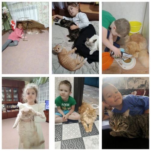 4 октябрь - Бөтендөнья хайваннарны яклау көне
